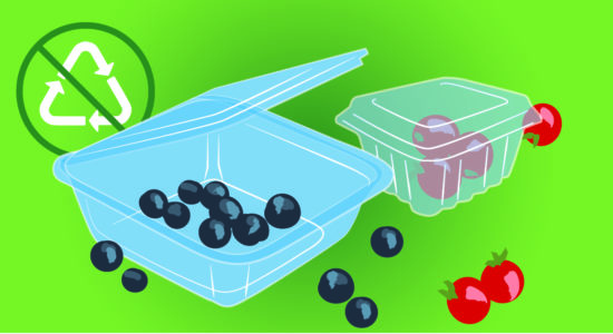 Clamshell container illustration